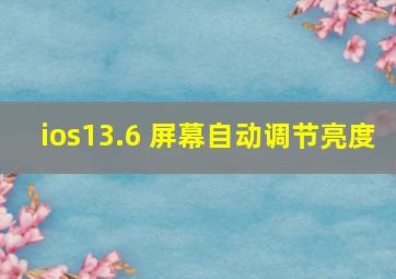 ios13.6 屏幕自动调节亮度